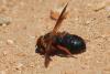 296528 – Photo : Gerard VIGO – Espagne